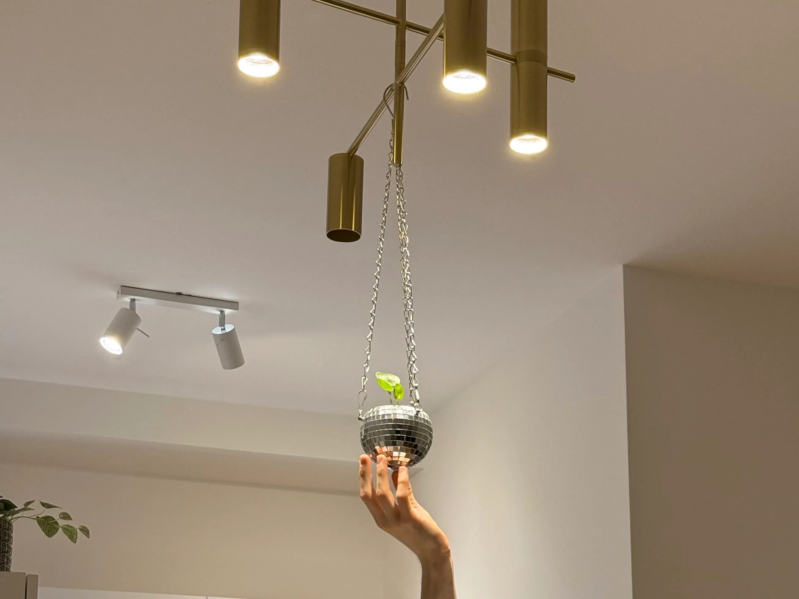 A pot in the shape of a disco ball with a tiny plant.